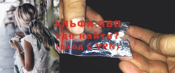 гашик Инсар
