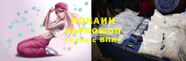 прущий лед Инта
