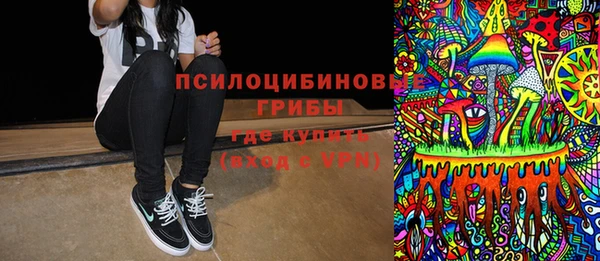 ГАЛЛЮЦИНОГЕННЫЕ ГРИБЫ Иннополис