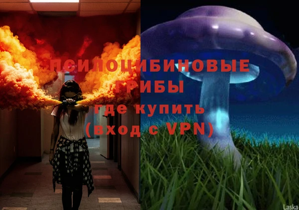 ГАЛЛЮЦИНОГЕННЫЕ ГРИБЫ Иннополис