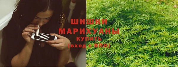 гашик Инсар