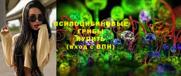 ГАЛЛЮЦИНОГЕННЫЕ ГРИБЫ Иннополис