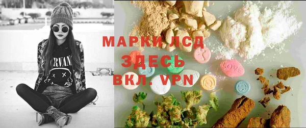 гашик Инсар
