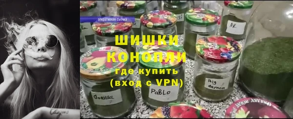 гашик Инсар