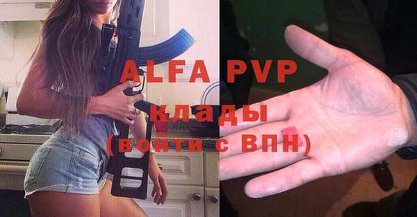 гашик Инсар
