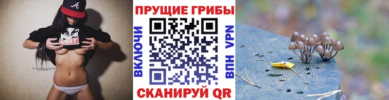 Галлюциногенные грибы мухоморы  Купить закладки  Чишмы 
